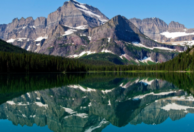 ​小动物作文范文