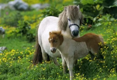 ​就这样慢慢长大小学作文范文