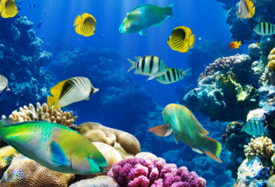 ​关于父爱的作文600字（父爱如山满分作文）