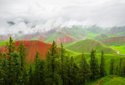 ​断章高中作文范文