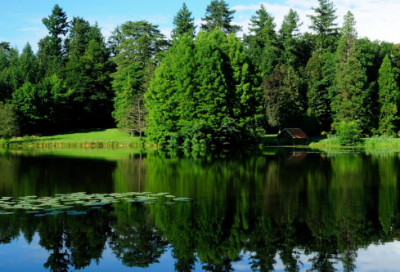 ​那件小事激励着我作文600字（那件小事激励着我满分作文）