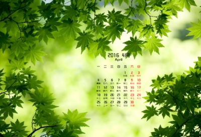 ​校园的生态园作文范文