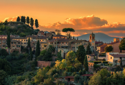​初夏游张园赏析（初夏游张园表达的情感）