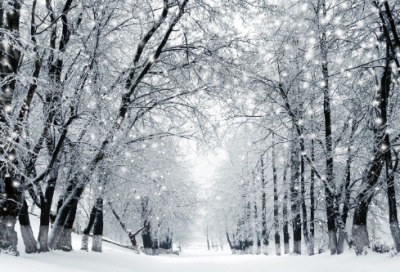 ​去秋游的一天作文范文