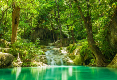 ​红楼梦薛宝钗人物分析（红楼梦薛宝钗人物形象）