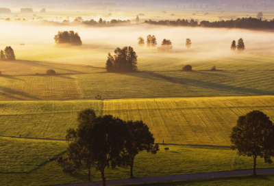 ​参观陕西自然博物馆作文范文