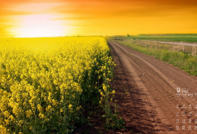 ​灞陵行送别李白赏析（灞陵行送别阅读答案）