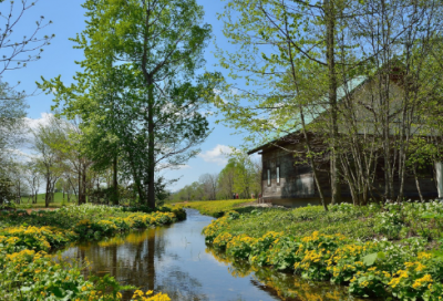 ​刘禹锡浪淘沙赏析（刘禹锡浪淘沙注音其七）