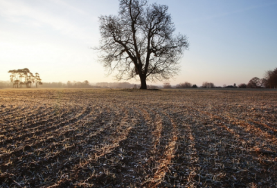​好段摘抄200字左右（优美段落摘抄大全）
