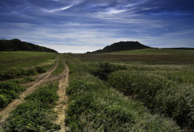 ​珍藏的记忆作文结尾（珍藏的记忆800字作文记叙文）