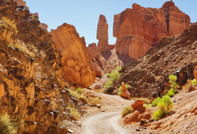 ​关于信仰的作文素材（坚守信仰作文800字）