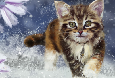 ​圣诞节笑话有什么（圣诞节幽默搞笑小段子）