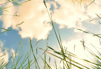 ​曲高和寡的反义词是什么（曲高和寡的意思解释及反义词）