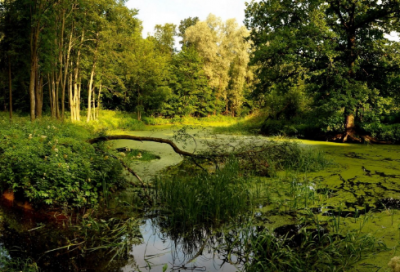 ​李煜相见欢写作背景（相见欢李煜赏析）