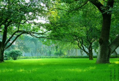 ​王小刚漫游未来城作文范文