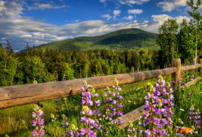 ​跳绳比赛高中作文范文