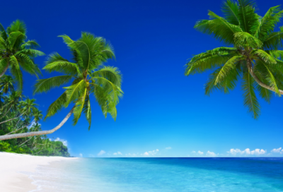 ​英语作文范文四篇