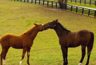 ​生活的滋味作文范文