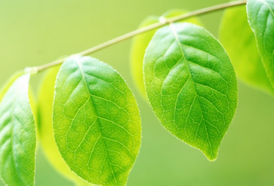 ​冬至的来历和风俗（简单介绍冬至节的由来）