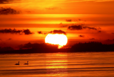 ​南乡子登京口北固亭有怀（南乡子登京口北固亭怀古辛弃疾）