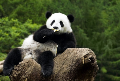 ​让人心疼的话怎么说（最心酸委屈伤感的话）