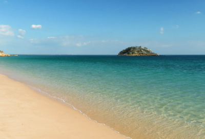 ​未来的校园作文范文