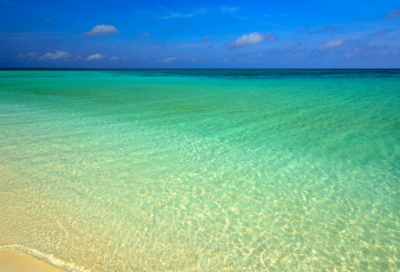 ​回延安原文是什么（贺敬之回延安赏析）