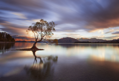 ​寻找什么作文范文