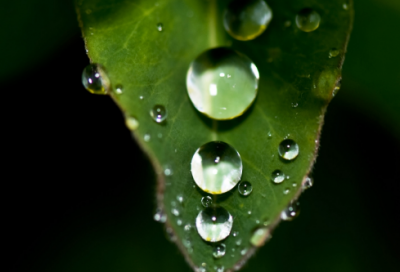 ​李清照是哪个朝代的（李清照简介及作品）