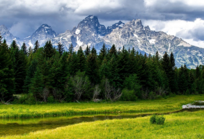 ​结婚庆典贺词（婚礼致辞简短大气）