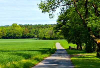 ​老蚌生珠是什么意思（老蚌生珠的意思及典故）
