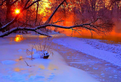 ​一丝惬意心中来作文800字（一丝惬意在心头作文开头）