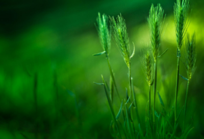 ​关于思维决定作为的作文范文