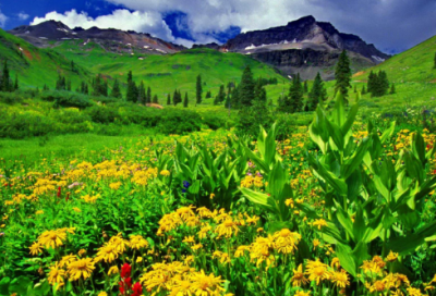 ​在路上作文800字（在路上中考满分作文）