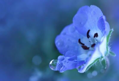 ​母亲节贺卡内容优美动听220个