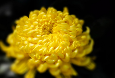 ​高一学生军训心得