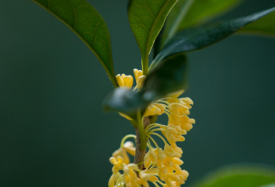 ​假期的实习报告
