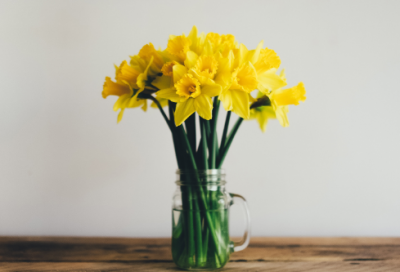 ​信息技术《精彩屏保制作》一等奖说课稿