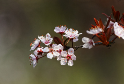 ​有内涵的笑话183个