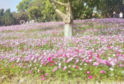 ​休闲胸包好评94个