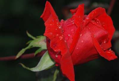 ​莫代尔内裤好评96个