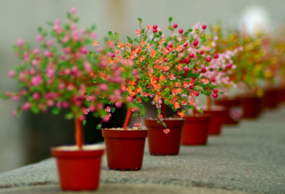 ​幼儿园元旦亲子游戏6则