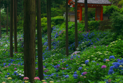 ​精益培训心得体会