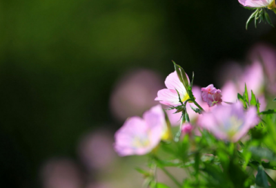 ​精选伤感文字控说说图片240个