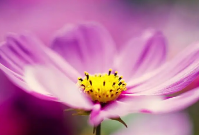 ​七夕哄女朋友的话228句