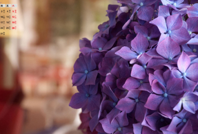 ​卖木雕的少年六年级上册一等奖说课稿