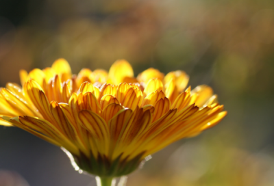 ​形容热闹的成语