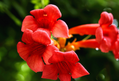 ​七夕朋友圈发什么文案252个