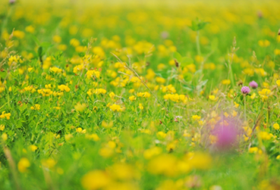 ​给好友毕业留言短语精选191个