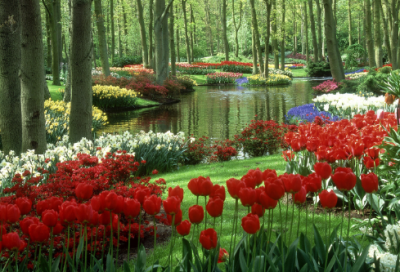 ​双人纯棉被罩好评104个